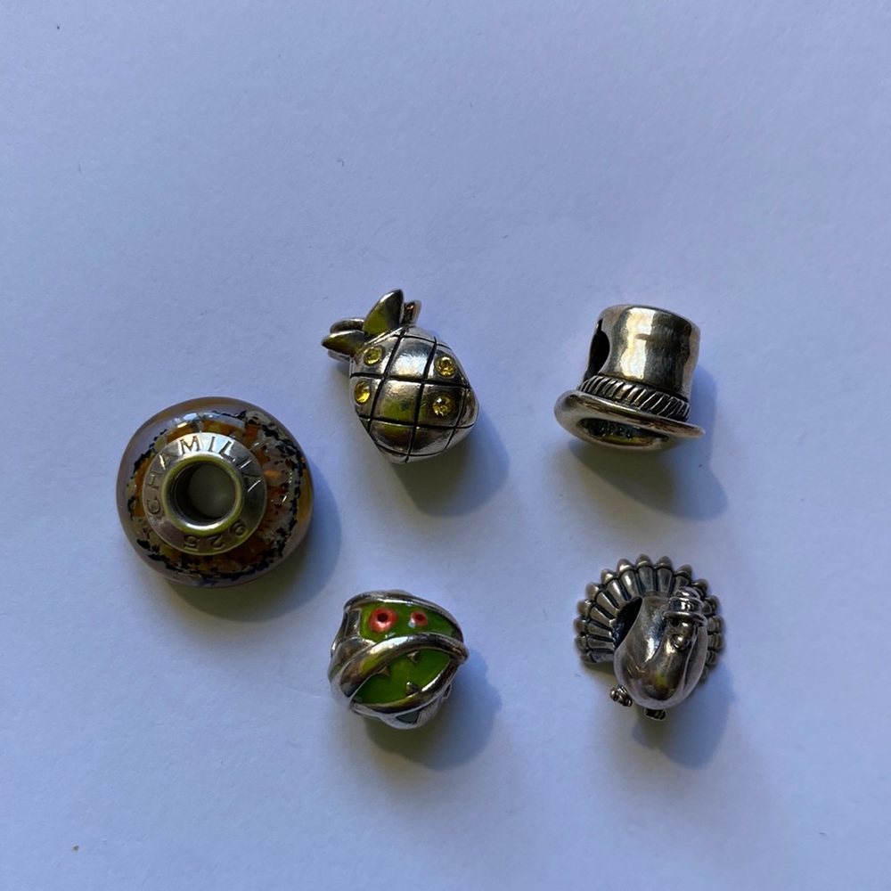 Silver charm bundle